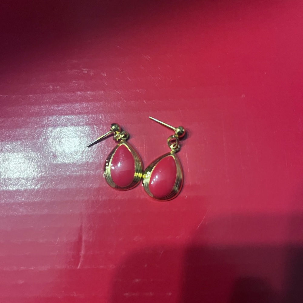 Red Earrings Coated In Gold